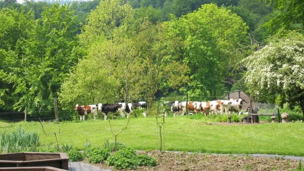 Garten1 Garten1